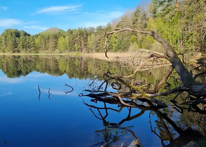 Wasgau Felsen- Und Seen Apartamento